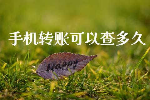 手机转账可以查多久_https://wap.apzhendong.com_美股行情_第1张