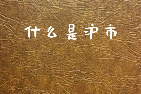 什么是沪市_https://wap.apzhendong.com_今日财经_第1张