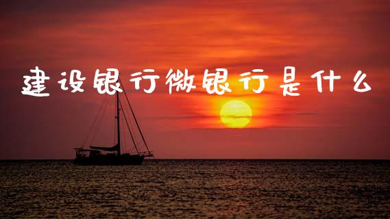 建设银行微银行是什么_https://wap.apzhendong.com_投资理财_第1张