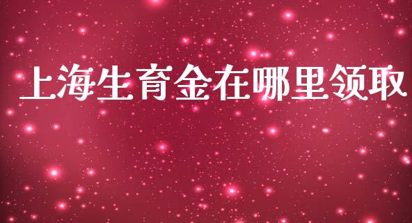 上海生育金在哪里领取_https://wap.apzhendong.com_投资理财_第1张