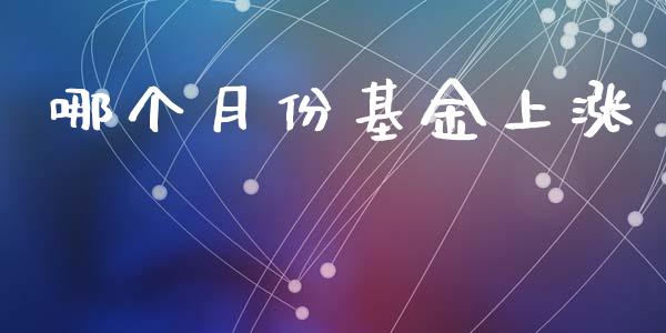 哪个月份基金上涨_https://wap.apzhendong.com_今日财经_第1张