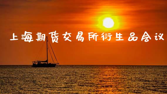 上海期货交易所衍生品会议_https://wap.apzhendong.com_今日财经_第1张