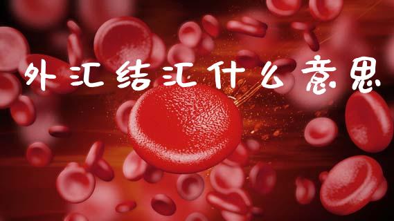 外汇结汇什么意思_https://wap.apzhendong.com_投资理财_第1张