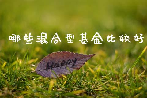 哪些混合型基金比较好_https://wap.apzhendong.com_今日财经_第1张