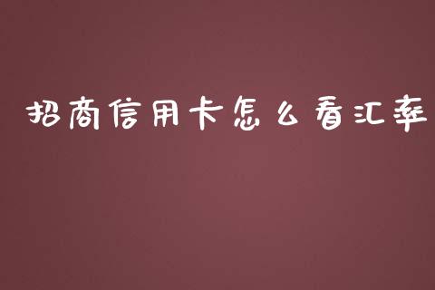 招商信用卡怎么看汇率_https://wap.apzhendong.com_投资理财_第1张