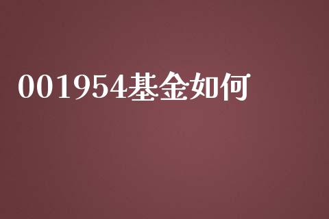 001954基金如何_https://wap.apzhendong.com_美股行情_第1张