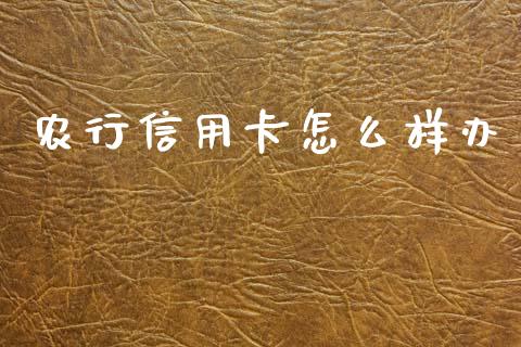 农行信用卡怎么样办_https://wap.apzhendong.com_美股行情_第1张