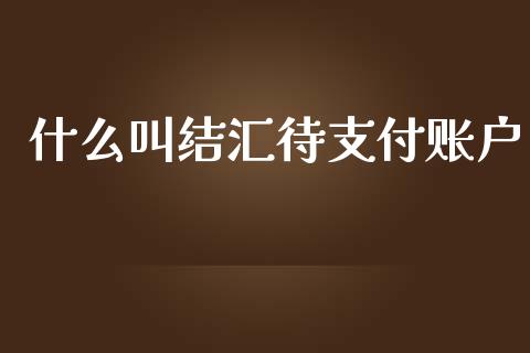 什么叫结汇待支付账户_https://wap.apzhendong.com_今日财经_第1张