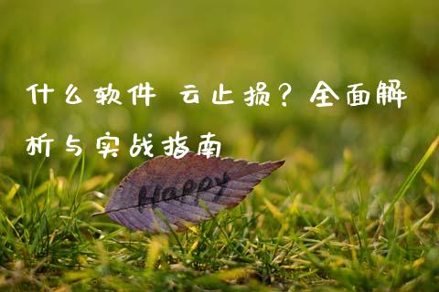 什么软件 云止损？全面解析与实战指南_https://wap.apzhendong.com_美股行情_第1张