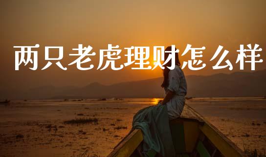 两只老虎理财怎么样_https://wap.apzhendong.com_今日财经_第1张