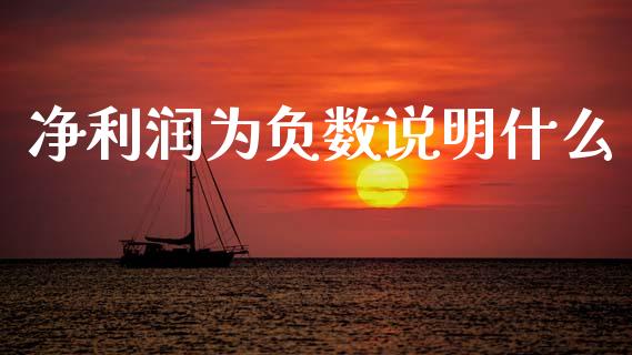 净利润为负数说明什么_https://wap.apzhendong.com_美股行情_第1张