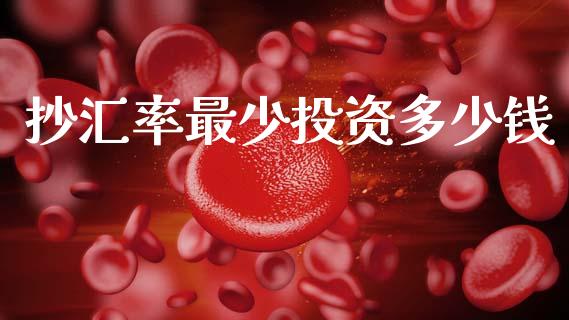 抄汇率最少投资多少钱_https://wap.apzhendong.com_期货直播_第1张