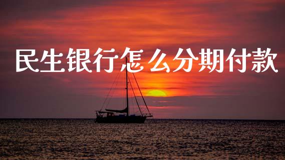 民生银行怎么分期付款_https://wap.apzhendong.com_美股行情_第1张