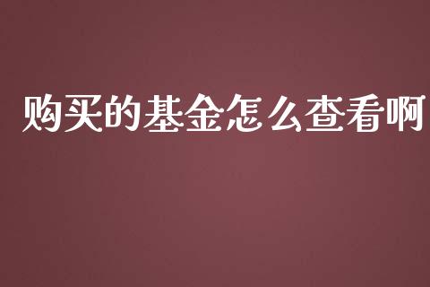 购买的基金怎么查看啊_https://wap.apzhendong.com_今日财经_第1张