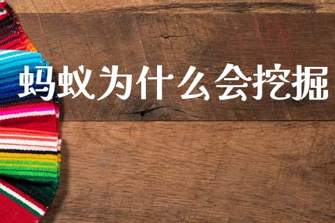 蚂蚁为什么会挖掘_https://wap.apzhendong.com_期货直播_第1张