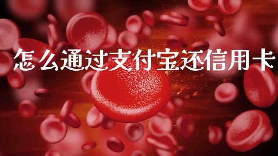 怎么通过支付宝还信用卡_https://wap.apzhendong.com_今日财经_第1张