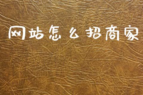 网站怎么招商家_https://wap.apzhendong.com_期货直播_第1张