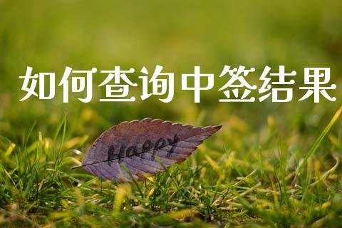 如何查询中签结果_https://wap.apzhendong.com_投资理财_第1张