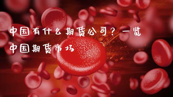 中国有什么期货公司？一览中国期货市场_https://wap.apzhendong.com_期货直播_第1张