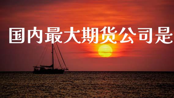 国内最大期货公司是_https://wap.apzhendong.com_投资理财_第1张