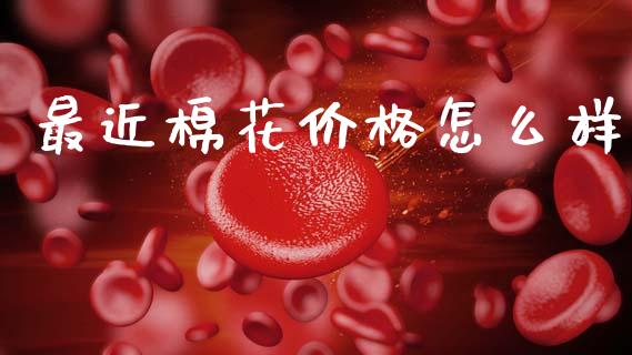 最近棉花价格怎么样_https://wap.apzhendong.com_今日财经_第1张