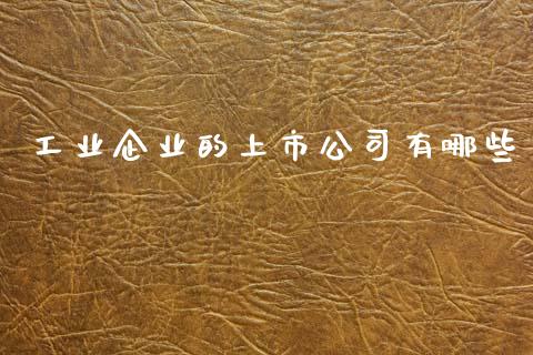 工业企业的上市公司有哪些_https://wap.apzhendong.com_期货直播_第1张