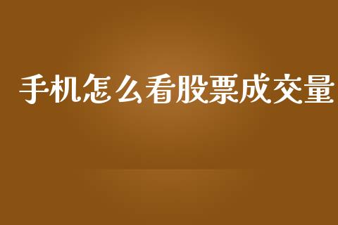 手机怎么看股票成交量_https://wap.apzhendong.com_投资理财_第1张