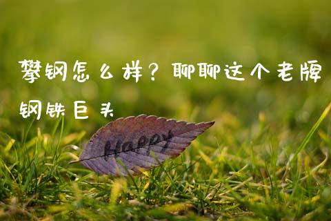 攀钢怎么样？聊聊这个老牌钢铁巨头_https://wap.apzhendong.com_今日财经_第1张