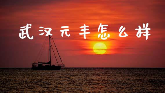 武汉元丰怎么样_https://wap.apzhendong.com_今日财经_第1张