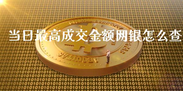 当日最高成交金额网银怎么查_https://wap.apzhendong.com_今日财经_第1张