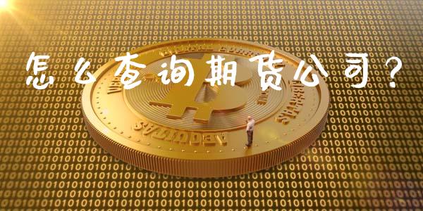 怎么查询期货公司？_https://wap.apzhendong.com_今日财经_第1张