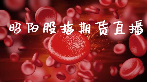 昭阳股指期货直播_https://wap.apzhendong.com_今日财经_第1张