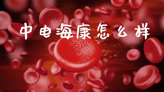 中电海康怎么样_https://wap.apzhendong.com_美股行情_第1张