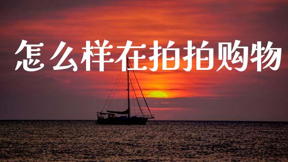怎么样在拍拍购物_https://wap.apzhendong.com_投资理财_第1张