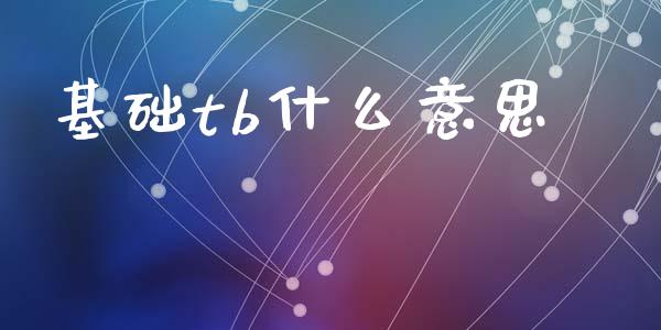 基础tb什么意思_https://wap.apzhendong.com_投资理财_第1张