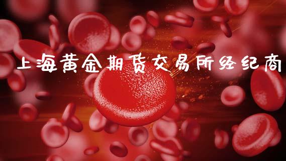上海黄金期货交易所经纪商_https://wap.apzhendong.com_期货直播_第1张