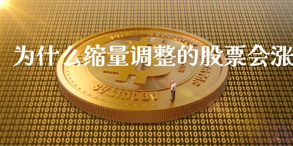 为什么缩量调整的股票会涨_https://wap.apzhendong.com_投资理财_第1张