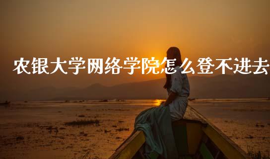 农银大学网络学院怎么登不进去_https://wap.apzhendong.com_投资理财_第1张