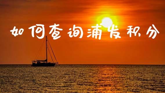 如何查询浦发积分_https://wap.apzhendong.com_投资理财_第1张