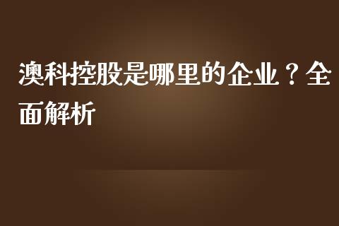 澳科控股是哪里的企业？全面解析_https://wap.apzhendong.com_投资理财_第1张