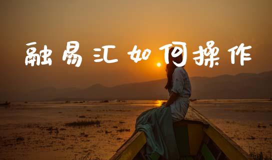融易汇如何操作_https://wap.apzhendong.com_美股行情_第1张