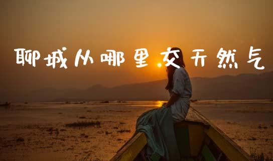 聊城从哪里交天然气_https://wap.apzhendong.com_投资理财_第1张
