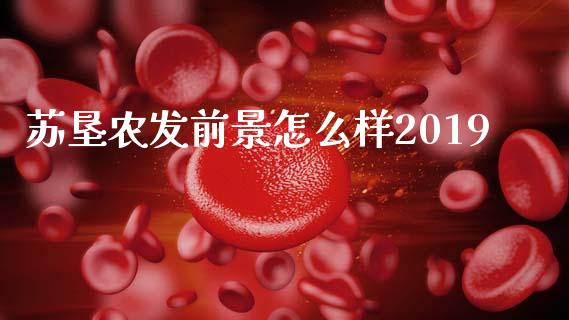 苏垦农发前景怎么样2019_https://wap.apzhendong.com_投资理财_第1张