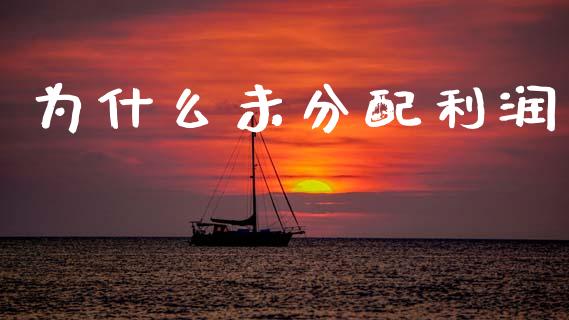 为什么未分配利润_https://wap.apzhendong.com_投资理财_第1张