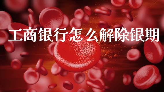 工商银行怎么解除银期_https://wap.apzhendong.com_美股行情_第1张
