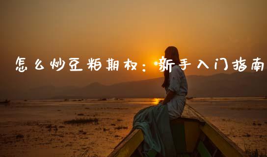怎么炒豆粕期权：新手入门指南_https://wap.apzhendong.com_期货直播_第1张