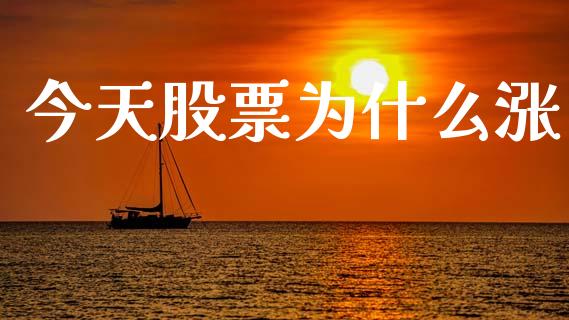 今天股票为什么涨_https://wap.apzhendong.com_投资理财_第1张