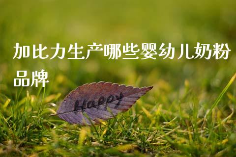 加比力生产哪些婴幼儿奶粉品牌_https://wap.apzhendong.com_美股行情_第1张