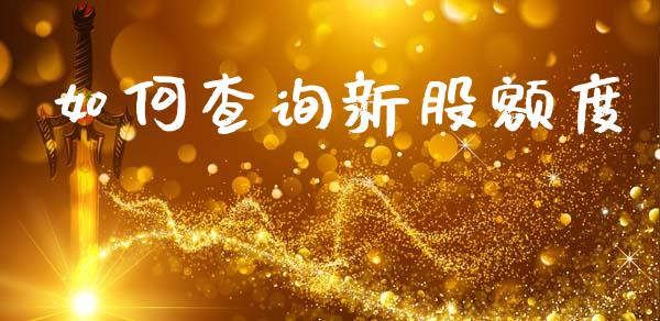 如何查询新股额度_https://wap.apzhendong.com_期货直播_第1张