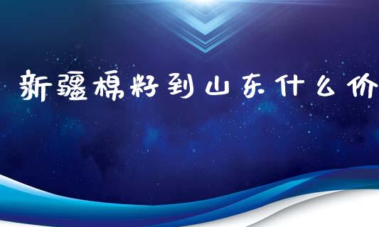新疆棉籽到山东什么价_https://wap.apzhendong.com_今日财经_第1张